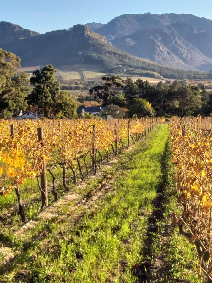 L'Auberge Chanteclair Franschhoek Exterior foto